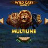 Cùng tham gia chơi Wild Cats Multiline slot tại VN88