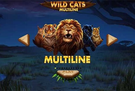 Cùng tham gia chơi Wild Cats Multiline slot tại VN88